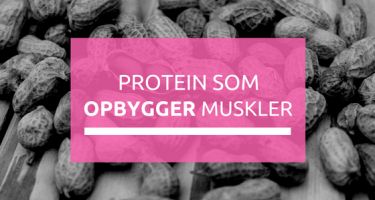 5 typer proteinpulver der opbygger muskler